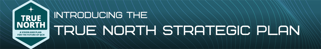 graphic with the words introducing the true north strategic plan and the true north logo